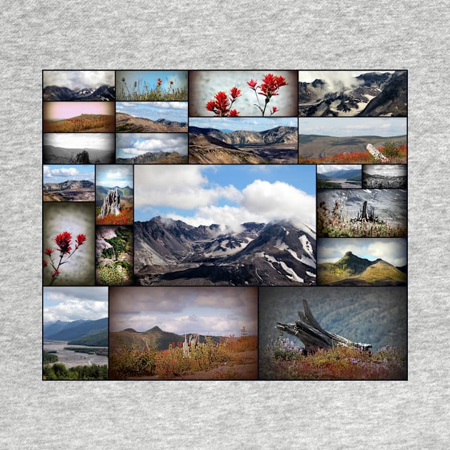 mount saint helens collage by DlmtleArt